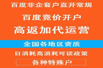 百度竞价价格解析，成功案例分享